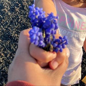 Meet your Posher, Yoks